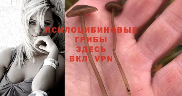 гидра Алзамай