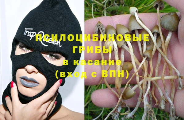 марихуана Коряжма