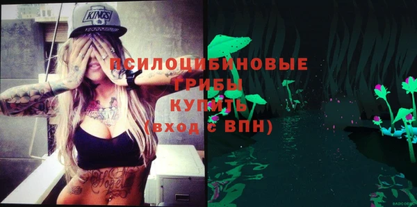 стафф Алексеевка