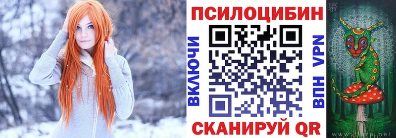 магазин продажи Починок сайты даркнета клад Псилоцибиновые грибы прущие грибы